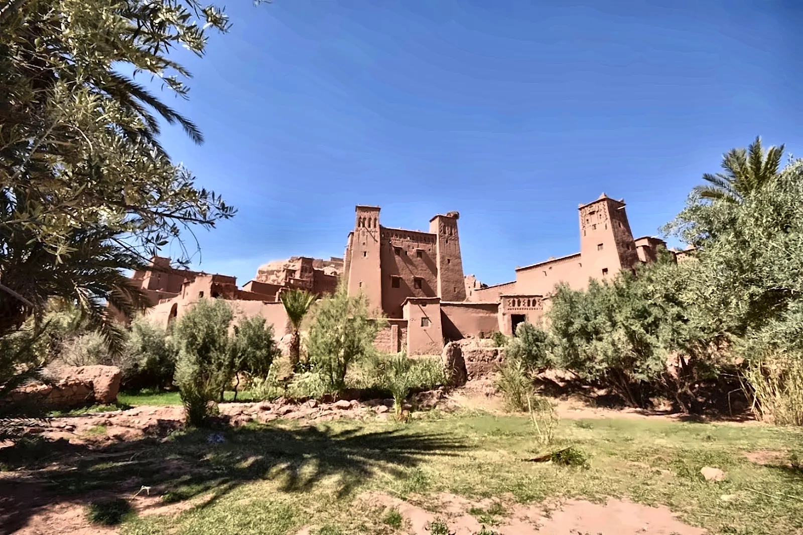 Una kasbah in terra cruda circondata dagli ulivi della valle