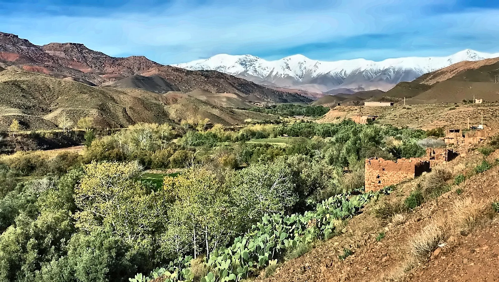 Valle verde con i fichi d’India e le cime innevate sullo sfondo