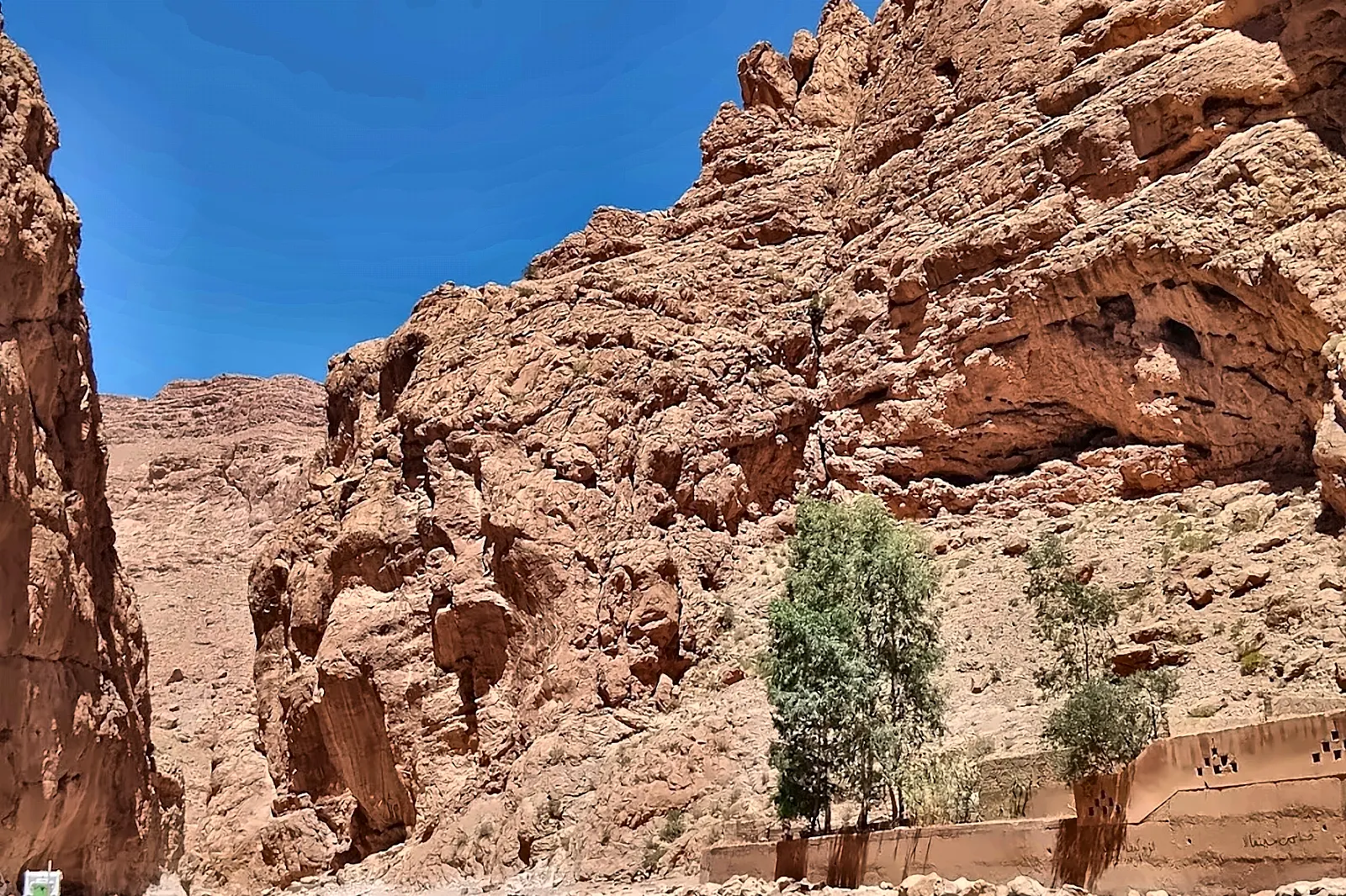 Un gregge di capre sul fondo roccioso di una gola