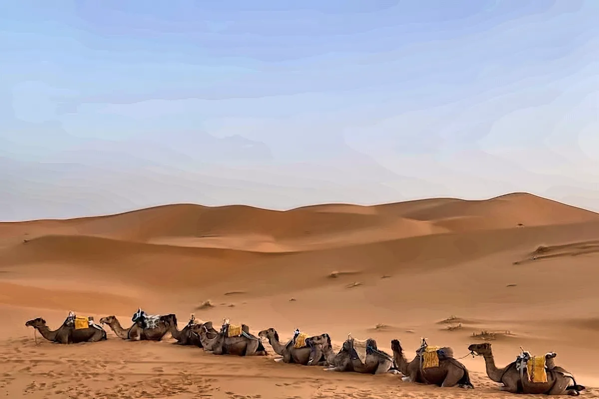 Una carovana di dromedari lontana, in mezzo a un mare di dune