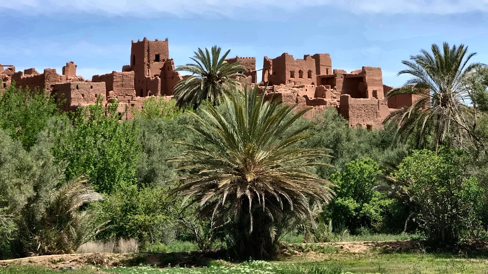 Kasbah di terra rossa in rovina fra le palme della valle del Draa
