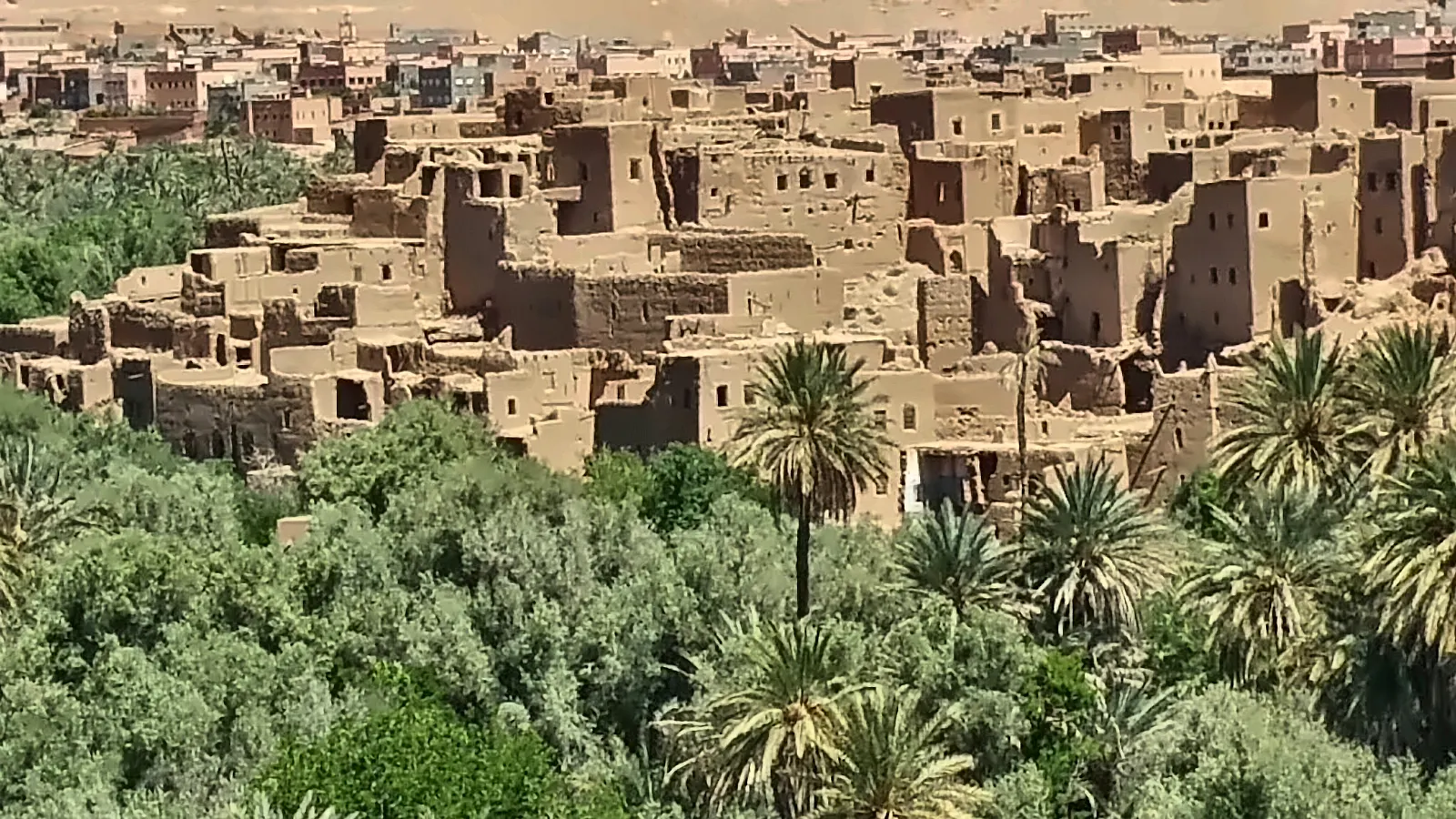 Un ksar di terra cruda sopra il palmeto della valle del Draa