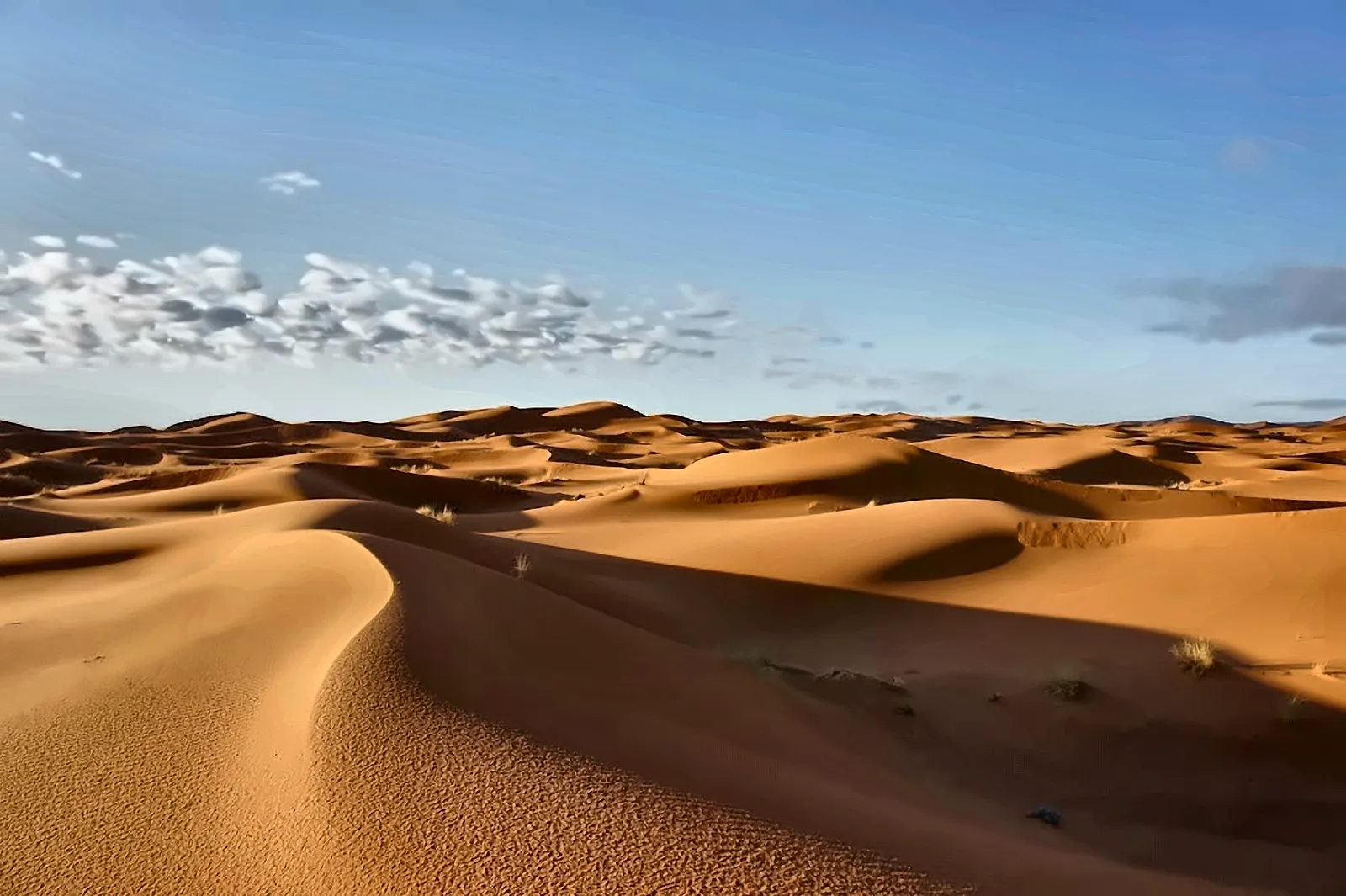 Distesa di dune lisce modellate dal vento nel Sahara