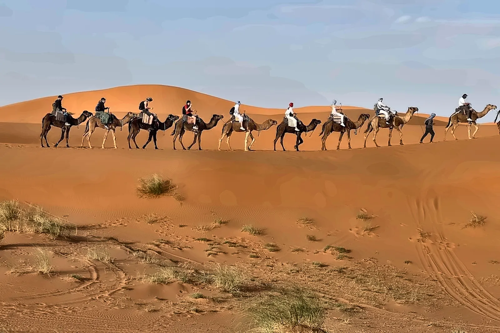 La carovana sulla cresta con i cespugli del deserto in primo piano