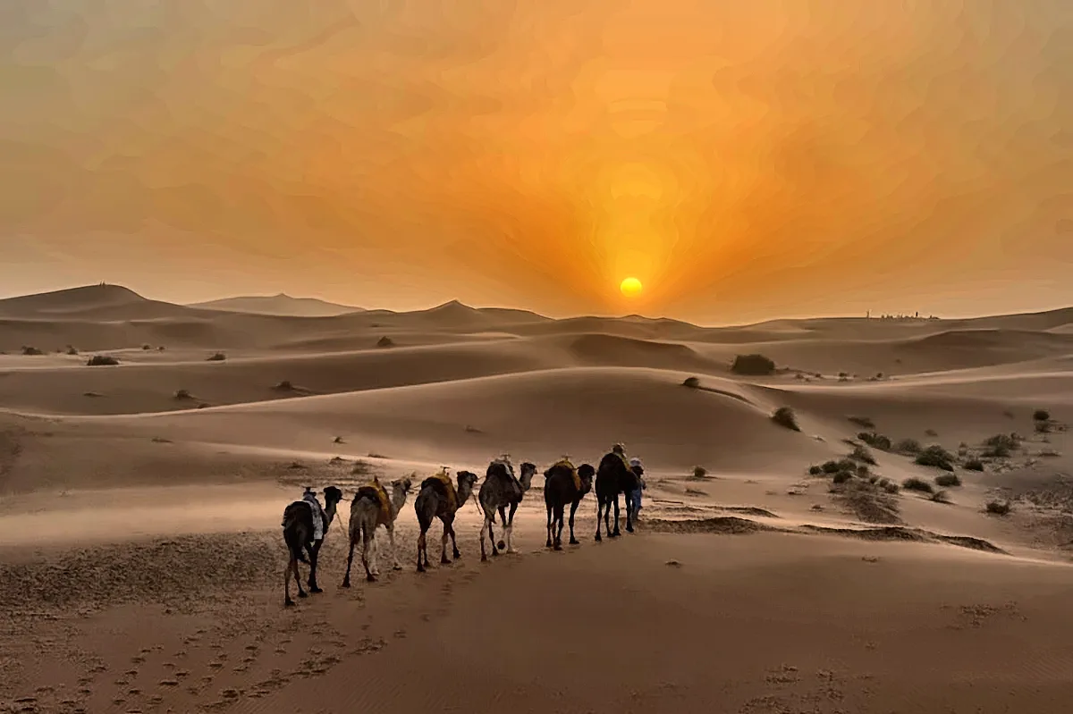 La carovana di dromedari sulla cresta della duna al tramonto