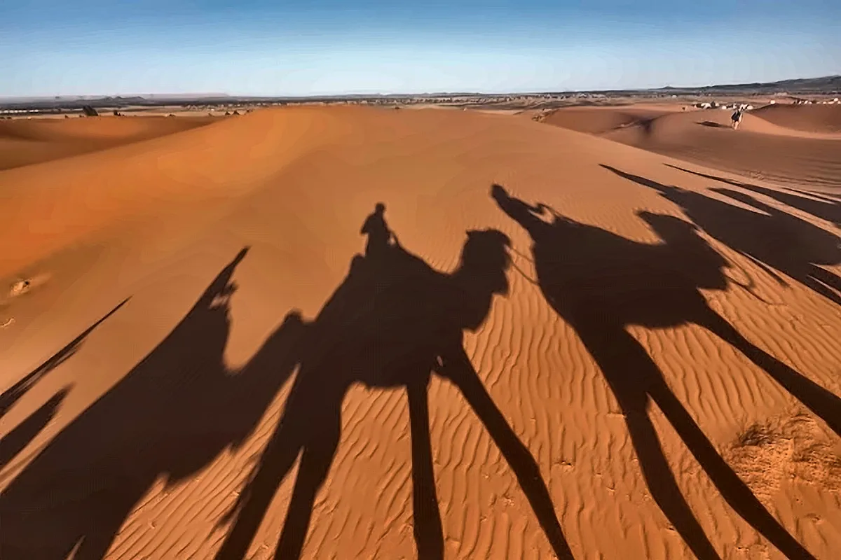 Le ombre dei dromedari viste dalla sella, sulla sabbia