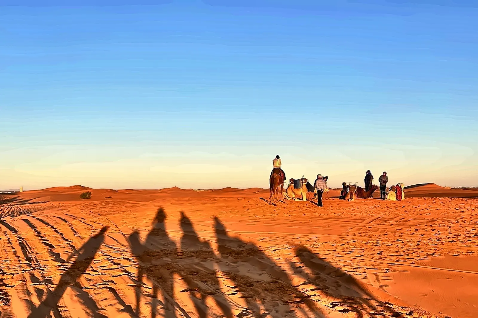 Le ombre lunghe della carovana sulla sabbia al sole basso