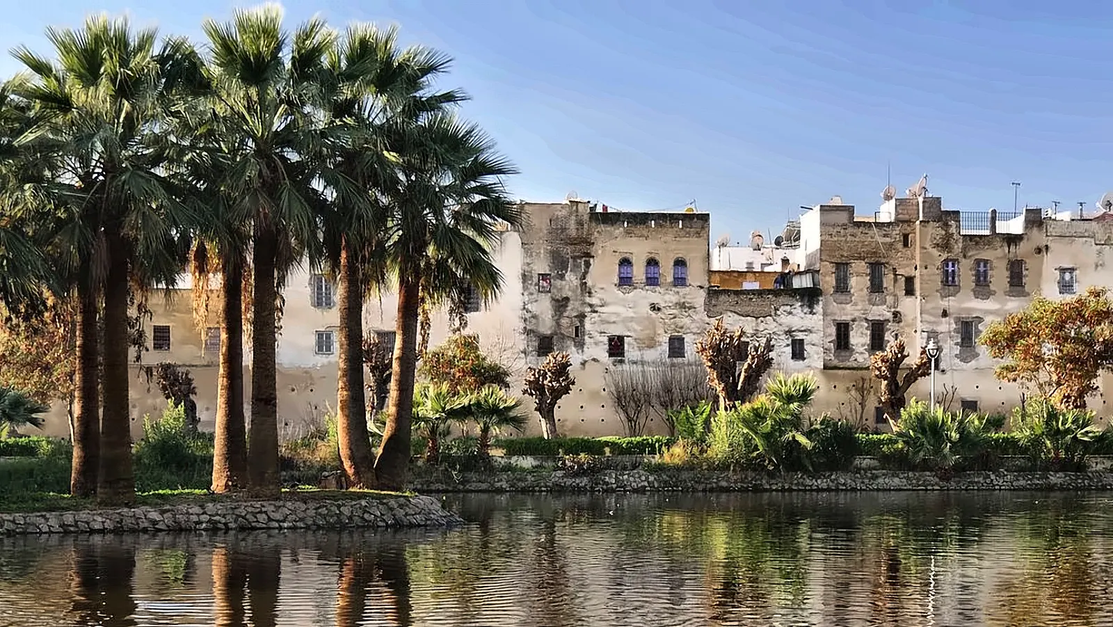 Palme riflesse nella vasca dei giardini di Fes