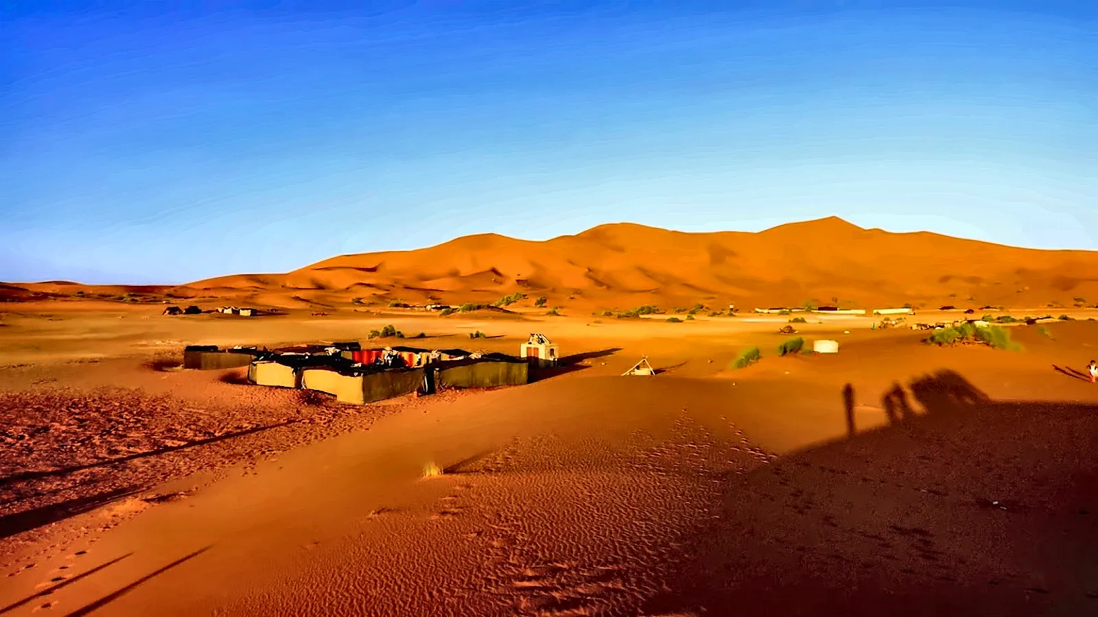 Il campo tendato fra le dune dell’Erg Chebbi nella luce dorata