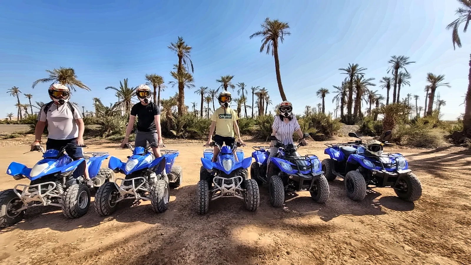 Quad nel palmeto vicino a Merzouga