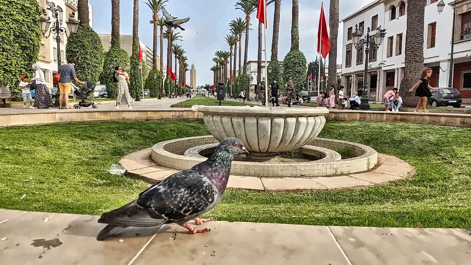 Il viale alberato di Rabat con le bandiere e la fontana