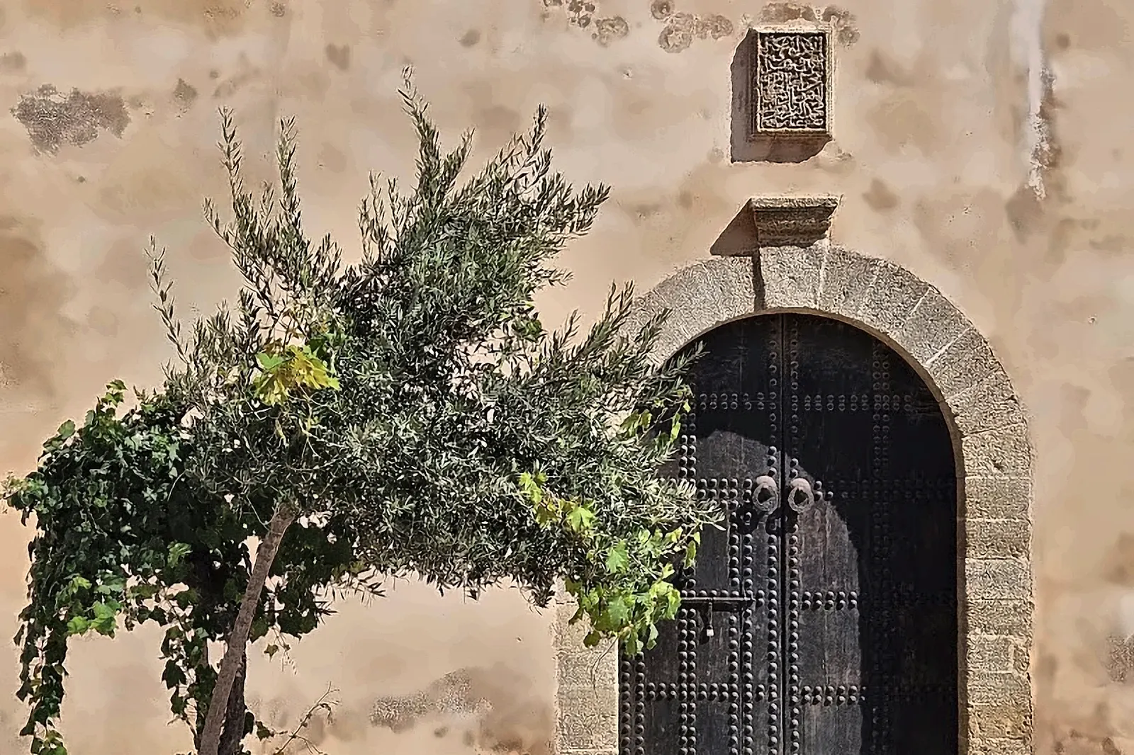 Antica porta in pietra con l’albero davanti
