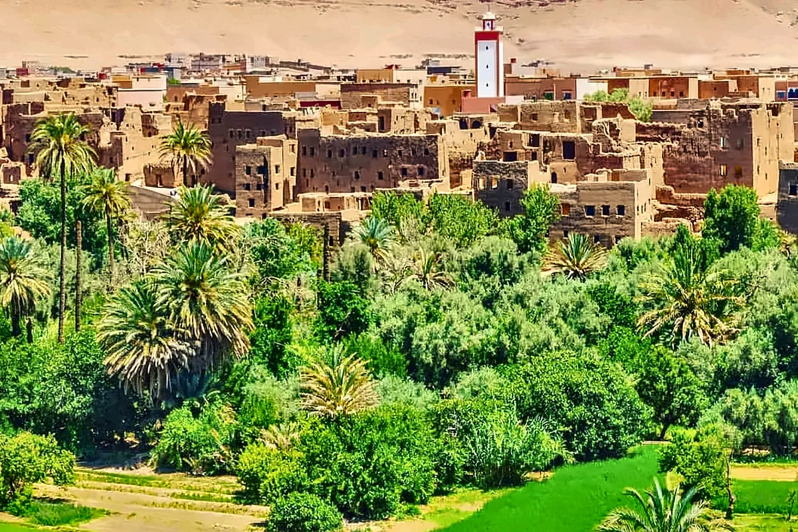 Il palmeto di Tinghir con il villaggio di terra sopra
