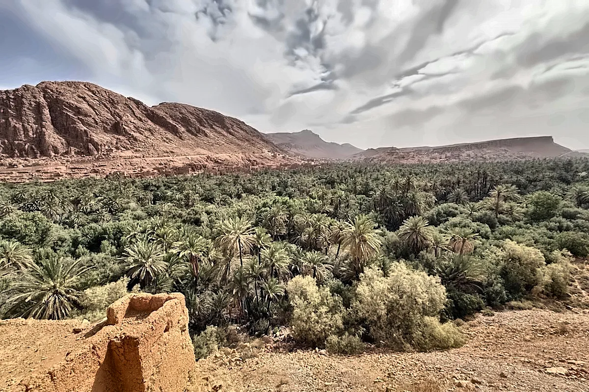Il palmeto della valle del Draa fra le montagne aride