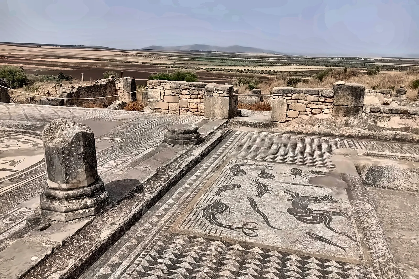 Il mosaico pavimentale di una casa romana di Volubilis, con la pianura alle spalle